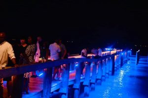 taphouse-pier-blue-lights-at-night.jpg
